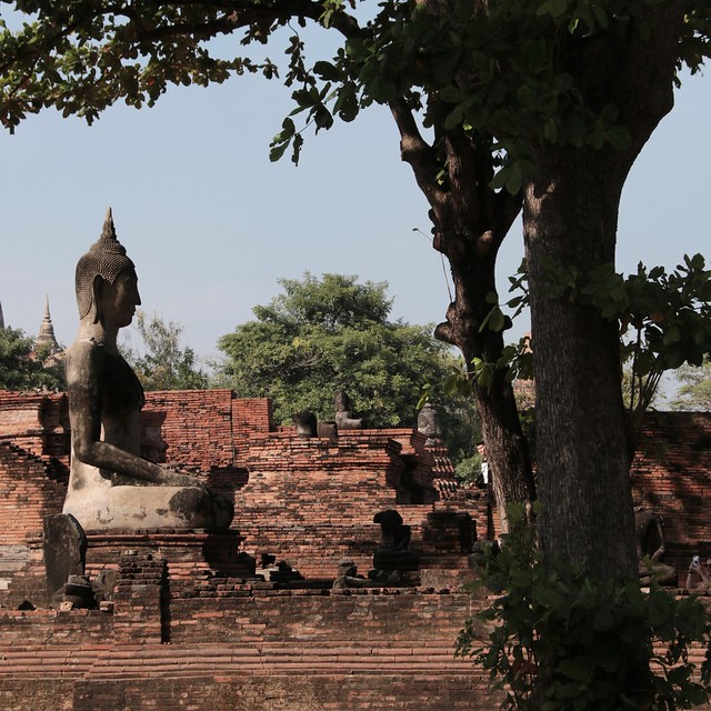 IMG_0188 (2) Buddha amongst ruins