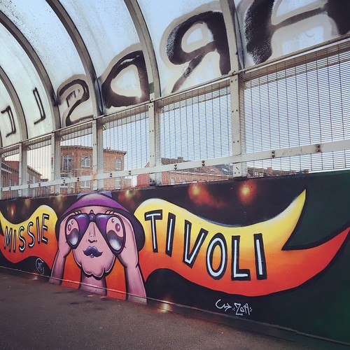 Tivolibrug Leuven - Maart 2019