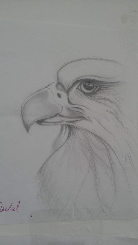 Dibujo realista a lápiz de águila. | Un dibujo hecho con láp… | Flickr