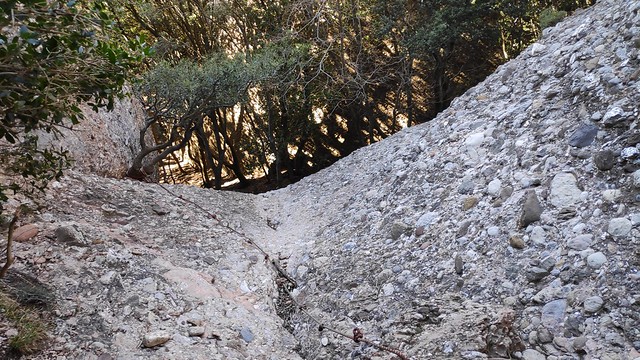 IMG_20190127_122511