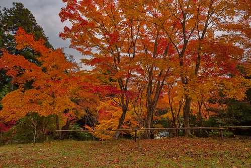 Autumn Scenery at Kaijūsen-ji Temple, Kizugawa-shi, Kyōto-… | Flickr