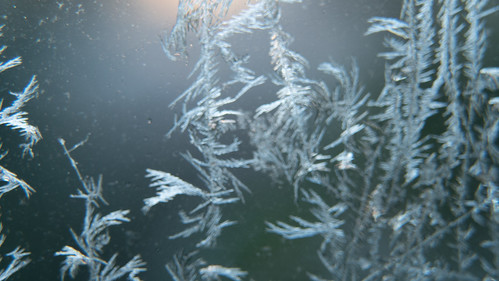 Winter: frost pattern