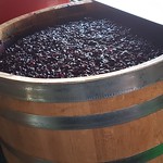 2017-09-17 Besuch beim Weingut Lenz Iselisberg