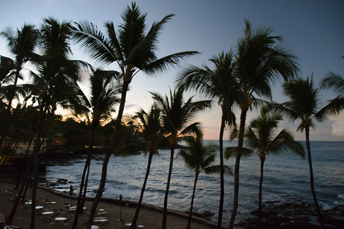 bigisland hawaii beach kona palmtrees sunrise