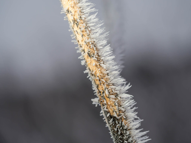 Winter wonderland 4 - the patterns of ice crystals