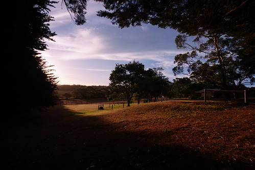 35mm morningtonpeninsula nikon tokina17mmf35 analog film landscape nature redhill sunset shadow bluesky contrast kodakultramax ultramax kodak400 nikonfm2n victoria 2019