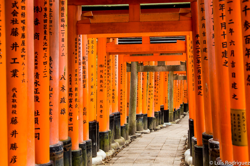 T&uacute;nel de torii en Fushimi Inari