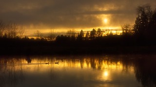 Duckpond Sunset 1536 B