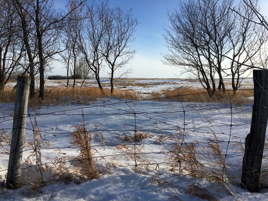 Over Yonder