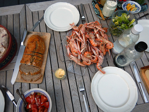 A banquet of Norway lobster (also called langoustine or scampi) in Sweden