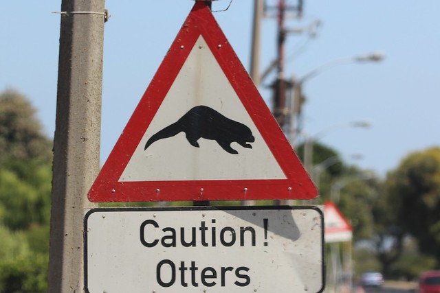 Otter Road Sign, Cape Town, South Africa