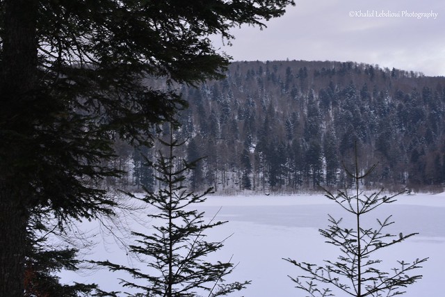 Frozen Lake in Vosges Mountains - France