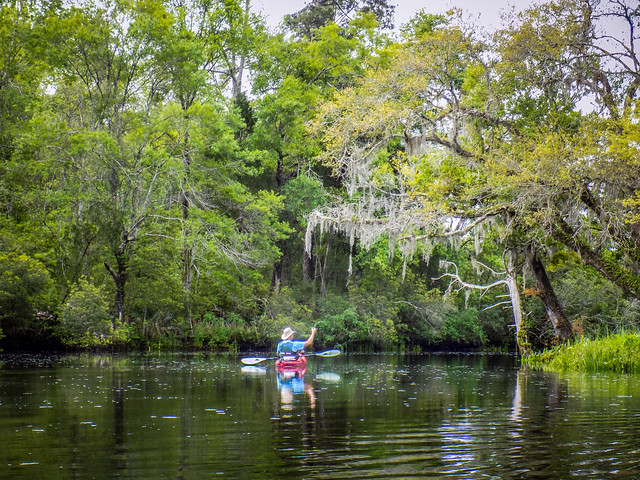 Kayaking to Pompion Hill Chapel on Huger Creek, Cooper River, and Quinby Creek
