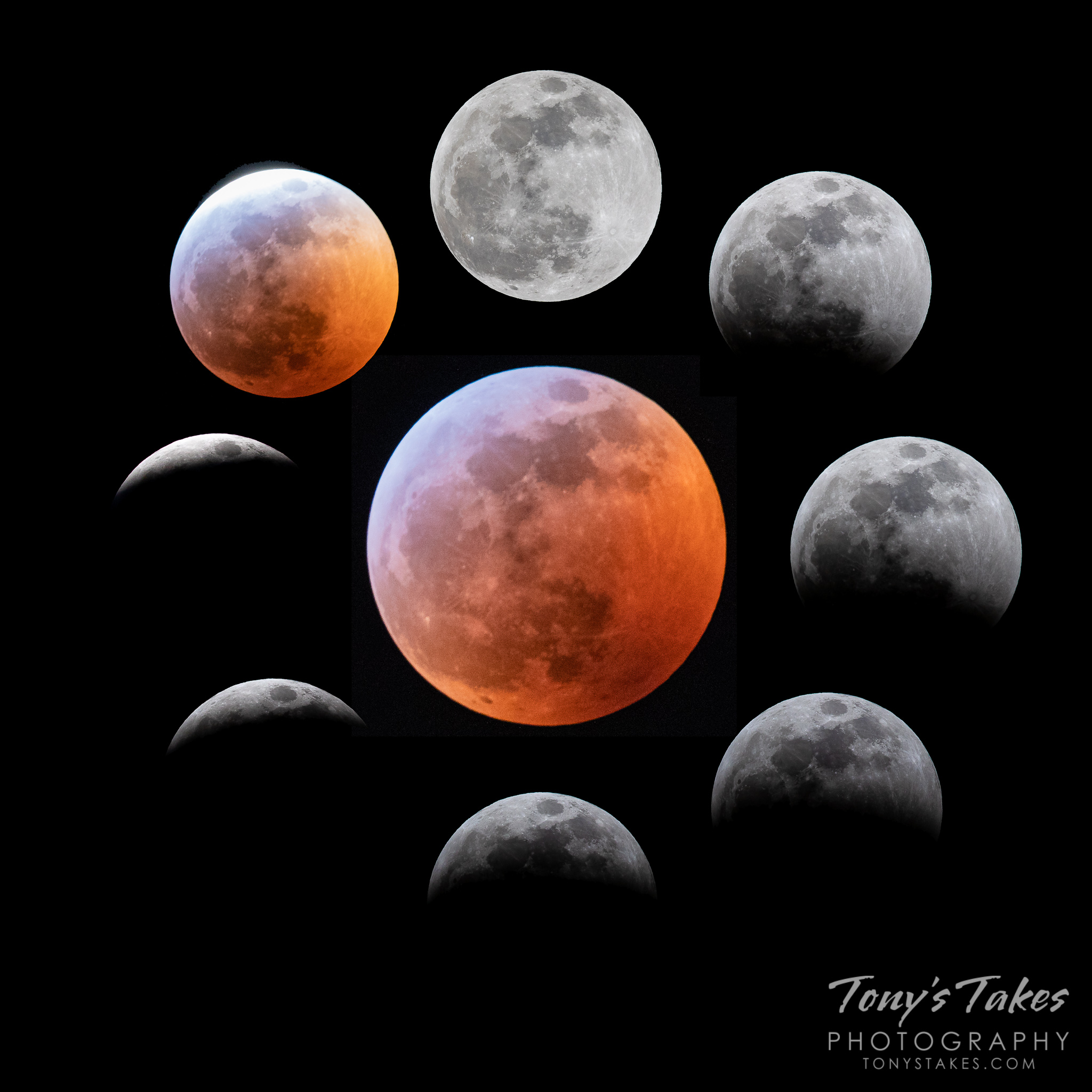 The phases of the lunar eclipse Tony's Takes Photography