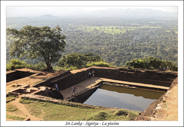Sri Lanka - Sigiriya - La piscine
