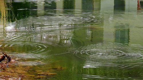 Ripples | by Hayseed52