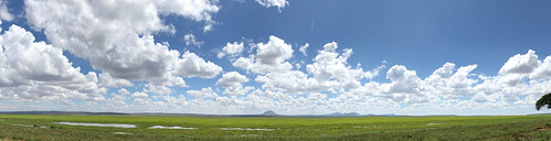 tanzania tarangire panorama landscape clouds