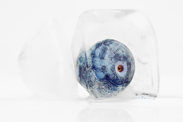 Blueberry in ice ...