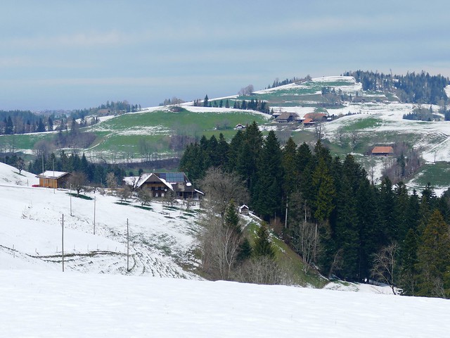 Frühlingsspaziergang bei Schnee am 06.04.2019: Oberi Grüeni Heimisbach