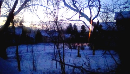 morning sunrise winter trees backyard newyear menominee uppermichigan treemendoustuesday flicker365 allthingsmichigan absolutemichigan projectmichigan michiganwinter