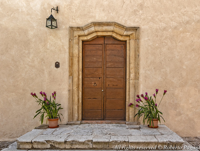 Main door and flowerpots