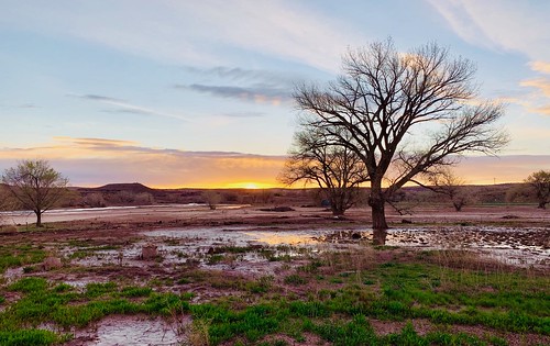 sunrise chinlearizona tree swamp water sky landscape outdoor outdoors trees marsh morning navajonation navajoland navajo chinle arizona