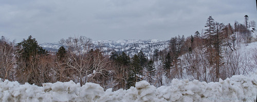 sakhalin winter snow forest panorama pano stitch mountains сопки pass