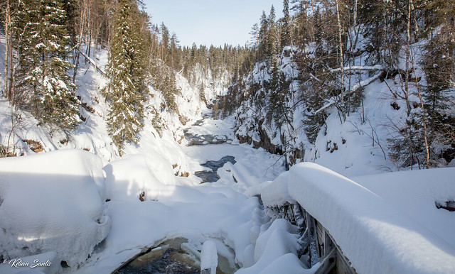 Rovaniemi - Réserve naturelle