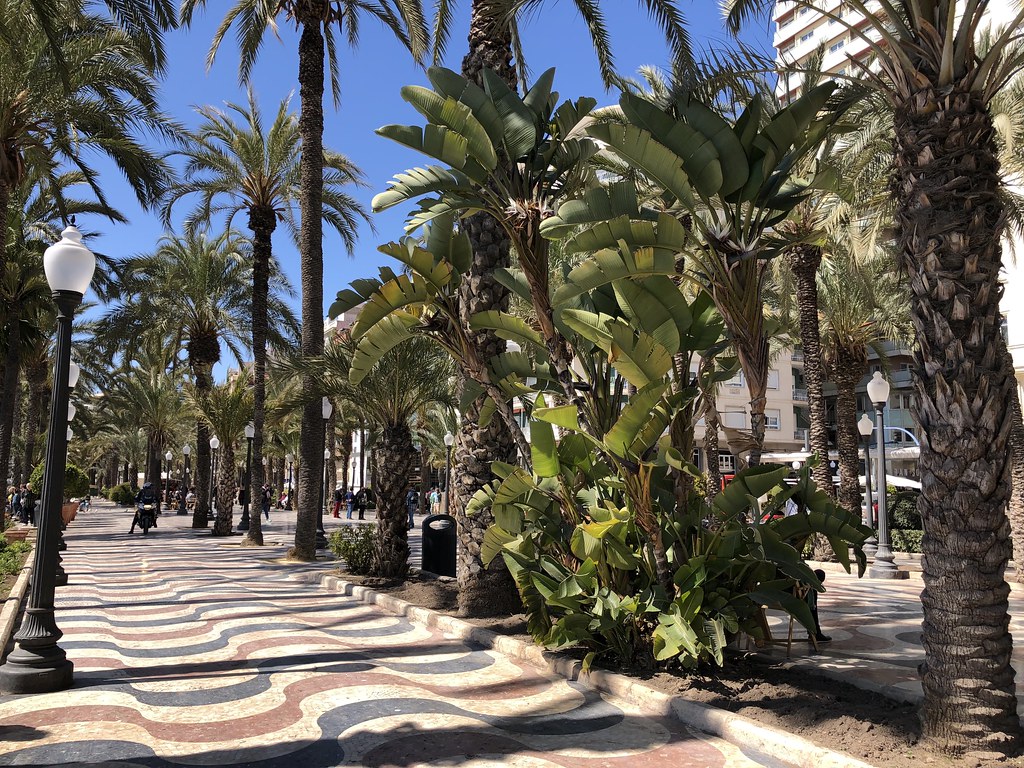 Alicanten hotellit, Alicante