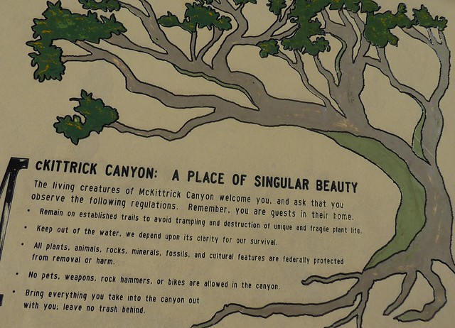 McKittrick's Canyon Nature Trail
