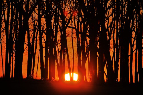 sidney illinois sunset trees
