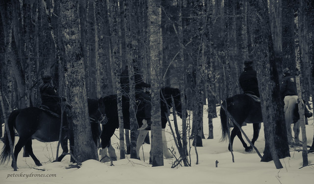 Horsemen in the woods