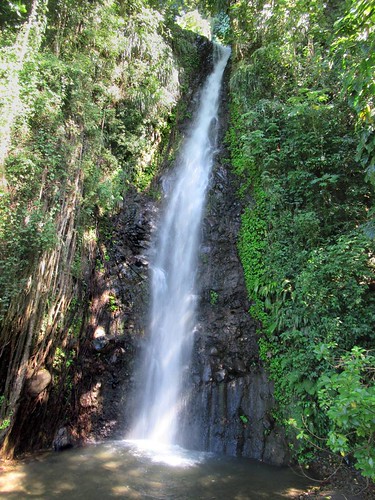 darvue waterfallsaintvincent caribbean