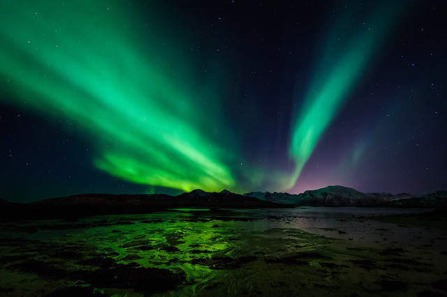 Norway aurora