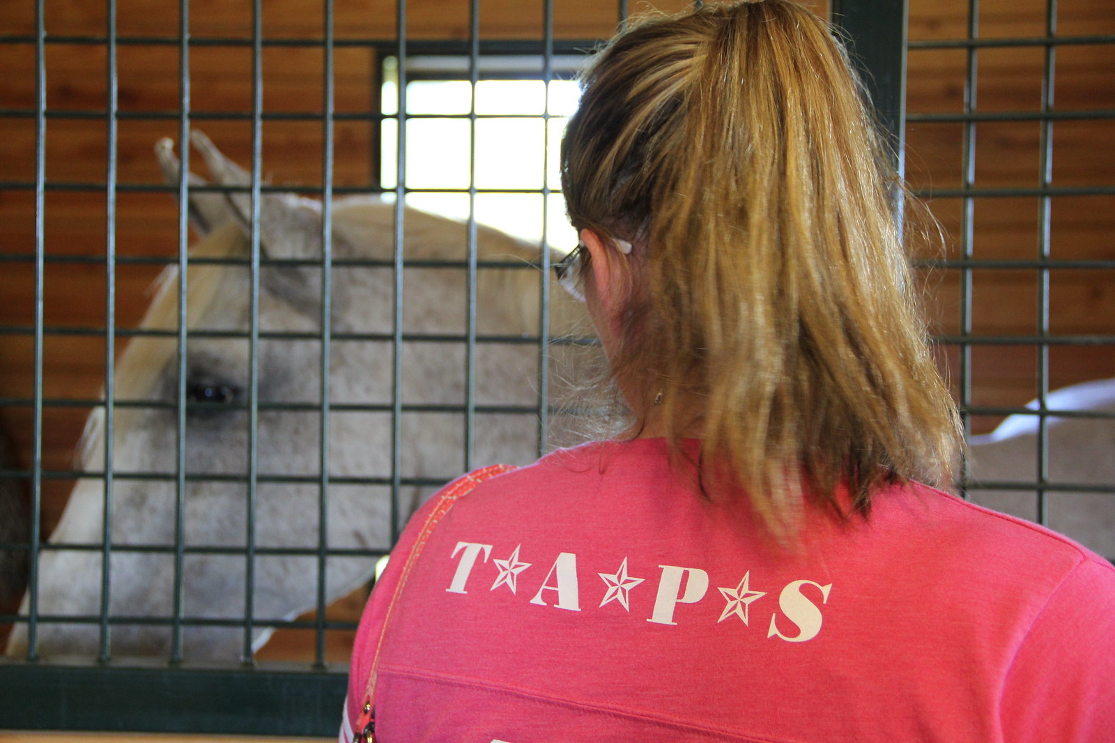 2015_T4T_Salamander Equine Therapy 16
