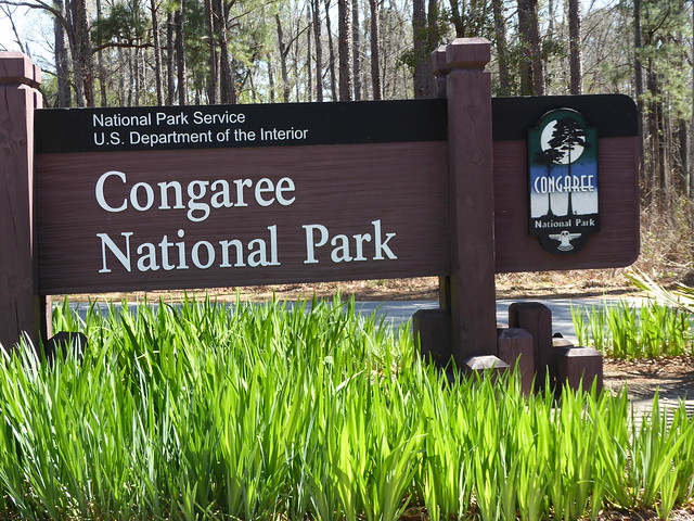 Congaree National Park Columbia SC