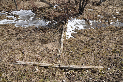 telegraph pole abandoned train canadian pacific railway railroad guelph goderich milbank milverton