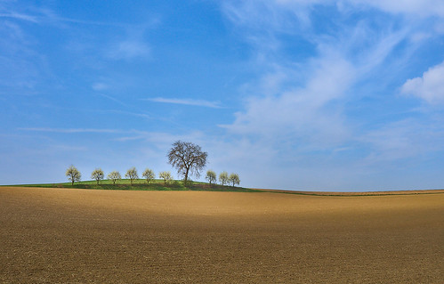 acker baum feld field frühling himmel landscape landschaft mzuiko14150mm olympusem5 sky spring tree