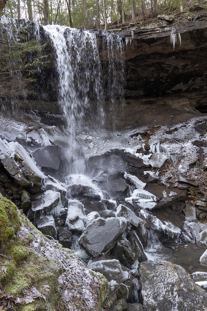 Jenny Branch Falls, Bridgestone Firestone Centennial Wilderness WMA, White County, Tennessee 2
