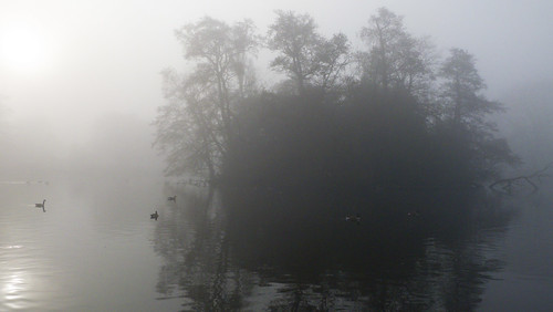 Island, misty morning