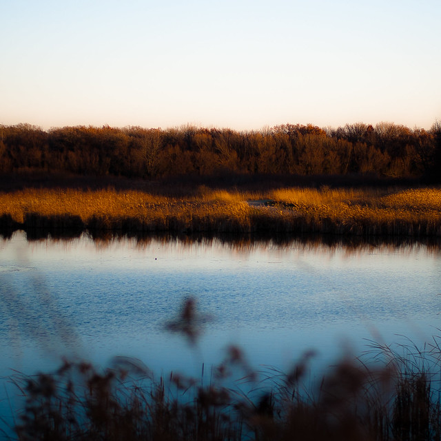 Wetland Prairie Landscape 018