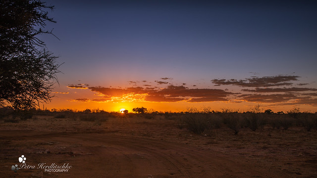 Sunset-Kalahari
