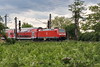 146 120-1 [db] zwischen M-Friedrichsfeld und Ladenburg