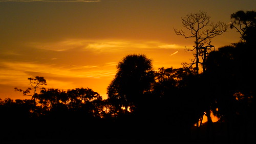 sunrise sunup dawn sun morning sky clouds color red orange pink yellow blue tree palm silhouette weather tropical exotic wallpaper landscape bradenton florida manateecounty nikon coolpix p900 jimmullhaupt cloudsstormssunsetssunrises newyearseve photo flickr geographic picture pictures camera snapshot photography nikoncoolpixp900 nikonp900 coolpixp900