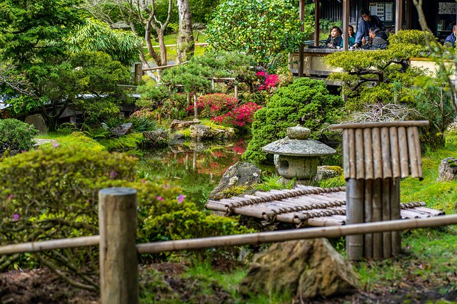 Japanese tea garden