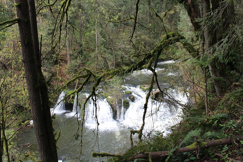 washington lacamas lake waterfall trees beautiful peace