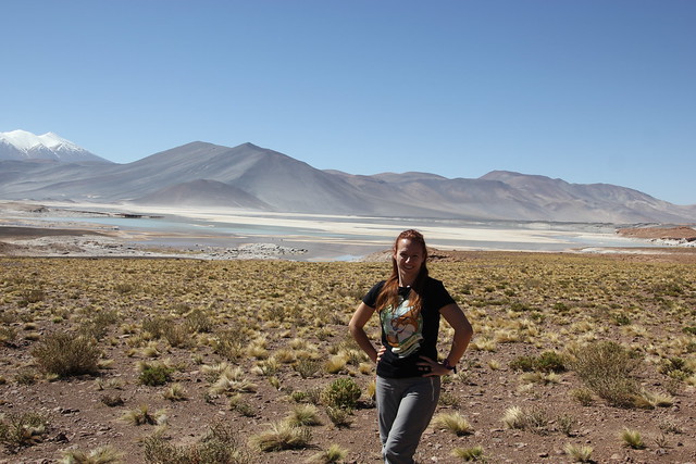 Dia 4: Lagunas Altiplanicas, Piedras rojas y Tour Astronomico (16/02/19) - Por el fin del mundo: Atacama, Perito Moreno, Patagonia e Isla de Pascua (14)