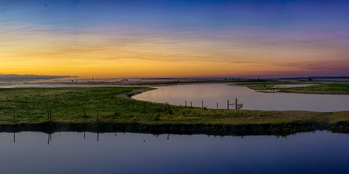 grass usa landscape calm domestic riverscape water ©edrosack panorama florida clear tree river cloud stjohnsriver sky centralflorida mammal dawn swamp fence cloudy christmas us