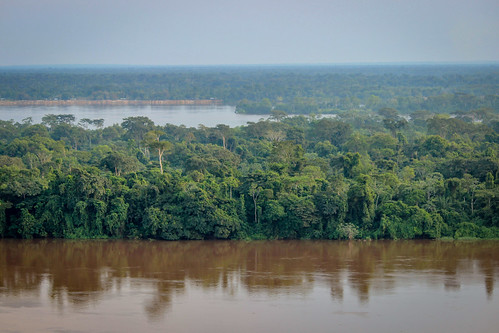 drc landscape water forets congobasin forestedwatersheds scenery waterresources river forests rainforests environment tropicalforests foresttrees congo congoriver yangambi trees ecology ecosystem environmentalism nature tshopo drcongo cd