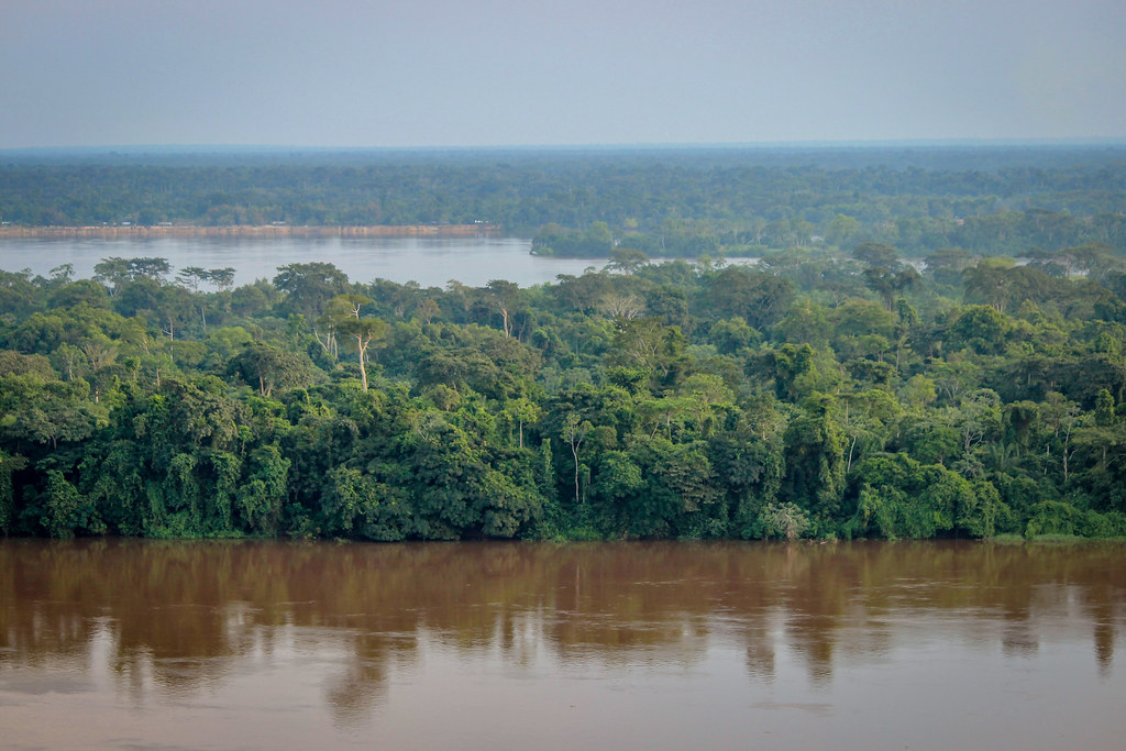 The Yangambi Research Station is located along the banks of the Congo River.